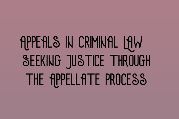 Appeals in Criminal Law: Seeking Justice through the Appellate Process