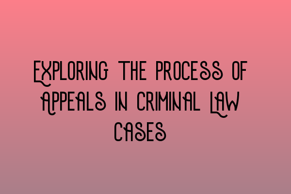 Exploring the Process of Appeals in Criminal Law Cases