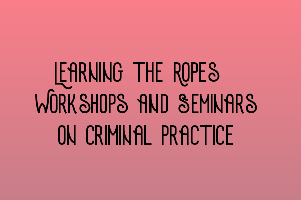 Learning the Ropes: Workshops and Seminars on Criminal Practice