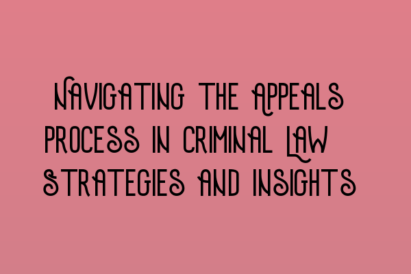 Featured image for Navigating the Appeals Process in Criminal Law: Strategies and Insights