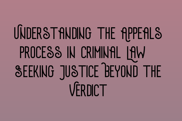 Understanding the Appeals Process in Criminal Law: Seeking Justice Beyond the Verdict