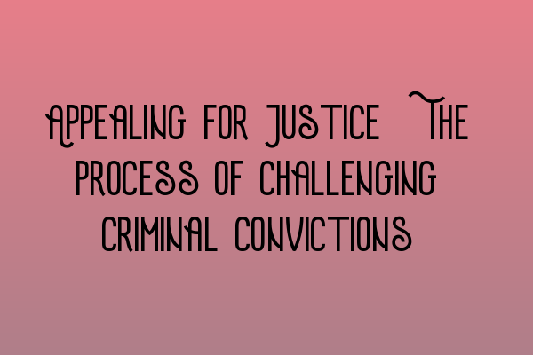 Appealing for Justice: The Process of Challenging Criminal Convictions