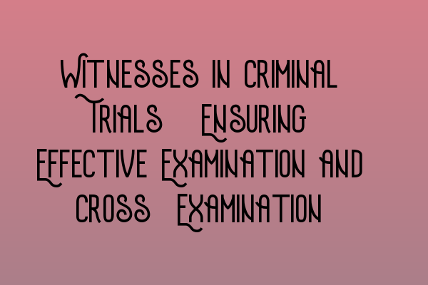 Featured image for Witnesses in Criminal Trials: Ensuring Effective Examination and Cross-Examination