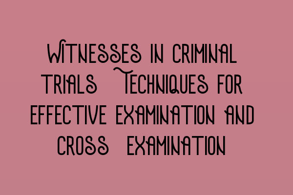 Featured image for Witnesses in criminal trials: Techniques for effective examination and cross-examination