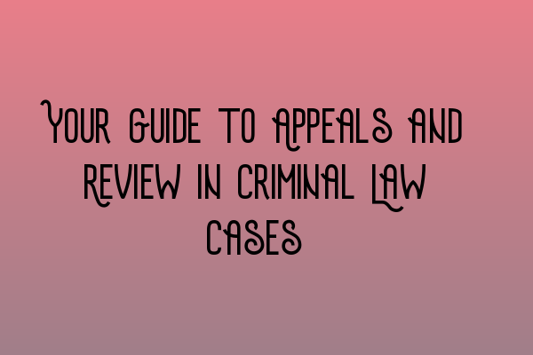 Your Guide to Appeals and Review in Criminal Law Cases